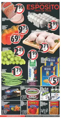 Esposito flyer (valid until 9-09)