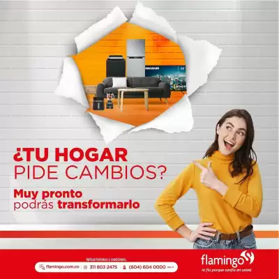 Flamingo (válido hasta 12-09)