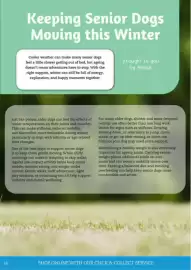 Pets Domain catalogue Page 14