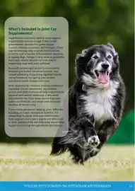Pets Domain catalogue Page 15
