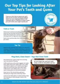 Pets Domain catalogue Page 22