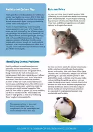 Pets Domain catalogue Page 27