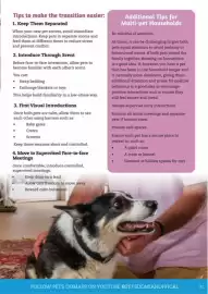 Pets Domain catalogue Page 31