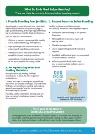Pets Domain catalogue Page 35