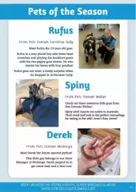 Pets Domain catalogue Page 41