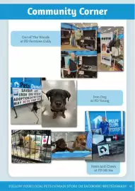 Pets Domain catalogue Page 43