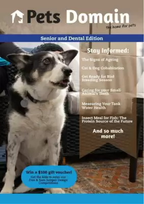 Pets Domain (valid until 15-09)