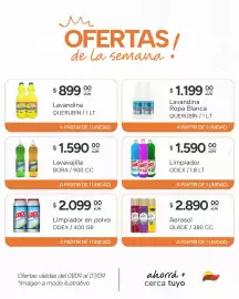 Catálogo El Milagro Mayorista semana 36 Página 17: Odex limpiador €1.590,00, Glade aerosol €2.890,00