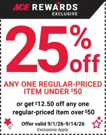 Ace Hardware flyer Page 4