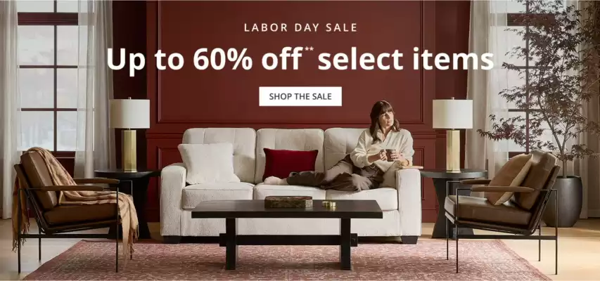 Ashley Furniture (valid until 8-09)