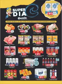 Catálogo Supermercados Correia Página 1: Papel higiênico ultra fancy €9,99, Steak de frango nobre €1,59