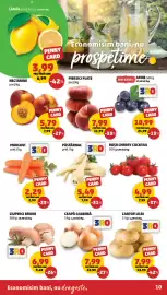 Catalog Penny săptămâna 36 Pagină 10: Penny roșii cherry cocktail €4,99, Penny card cartofi albi €7,99