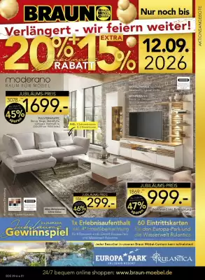 Möbel Braun (gültig bis 12-09)