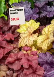 Plantagen annonsblad Sida 2