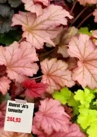 Plantagen annonsblad Sida 3