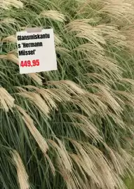 Plantagen annonsblad Sida 9
