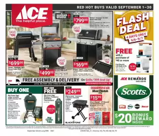 Ace Hardware flyer Page 10