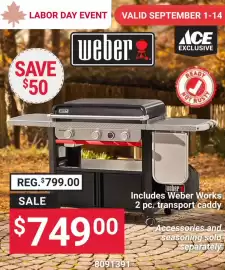Ace Hardware flyer Page 1