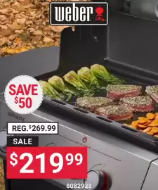 Ace Hardware flyer Page 10
