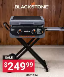 Ace Hardware flyer Page 11