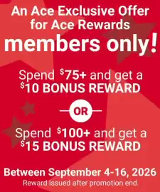 Ace Hardware flyer Page 17