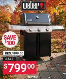 Ace Hardware flyer Page 2