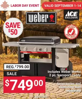 Ace Hardware (valid until 14-09)