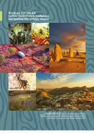 NRMA catalogue Page 33