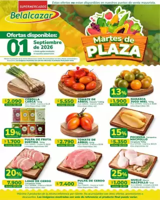 Catálogo Belalcazar