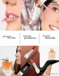Catálogo Andrea Página 3