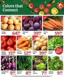 Oxford Freshmarket catalogue week 36 Page 4: Beetroot Bag €39,99, Carrot Prepack €12,99
