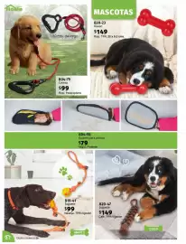 Catálogo Cklass Página 42
