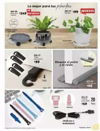 Catálogo Cklass Página 40