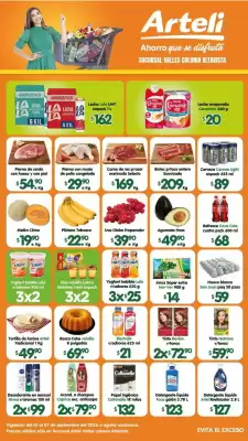 Catálogo Arteli express (válido hasta 7-09)