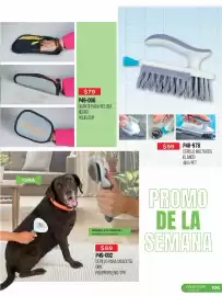 Catálogo Cklass Página 107