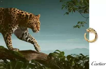 Catálogo Palacio de Hierro Página 4