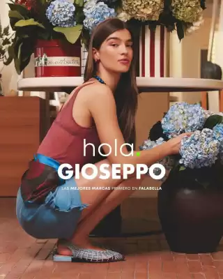 Falabella (válido hasta 5-09)