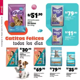 Catálogo Plaza Vea Página 12: Ricocat Alimento para gatos sabores variados €79,90