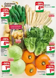 Dino gazetka tydzień 36 Strona 32: Ogórki gruntowe €3,99, Sałata rzymska mini €3,49