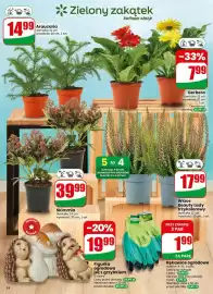 Dino gazetka tydzień 36 Strona 54: Rękawice ogrodowe €1,99, Skimmia €39,99