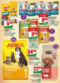 Dino gazetka tydzień 36 Strona 72: Sucha karma dla psa wołowina Natural Meal €22,85