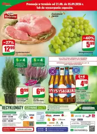 Dino gazetka tydzień 36 Strona 80: Wrzos Garden Girls €6,99, Piwo Tyskie Gronie €4,19