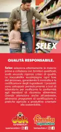 Volantino Supermercati Dok Pagina 13