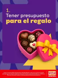 Catálogo Oxxo Página 2