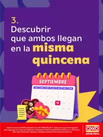 Catálogo Oxxo Página 4
