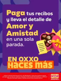 Catálogo Oxxo Página 5