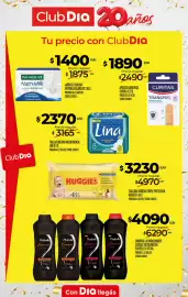 Folleto Supermercados DIA semana 36 Página 16: Plusbelle shampoo acondicionador esencia restauracion €4.090,00