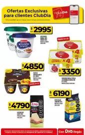 Folleto Supermercados DIA semana 36 Página 26: Ilolay queso rallado €4.790,00