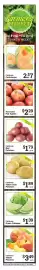 Ray's Food weekly ad week 36 Page 5: California Green Cabbage €1,39, California Red Potatoes €1,79