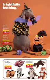 Aldi leaflet week 37 Page 6